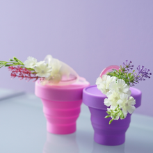 Cargar imagen en el visor de la galería, Vaso Esterilizador Plegable